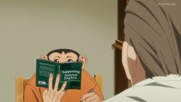 El Incidente Darwin Castellano capitulo 12