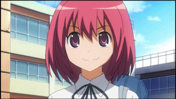 Toradora! Castellano capitulo 11