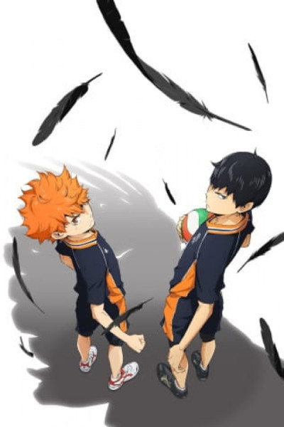 Haikyuu!! S2 Latino