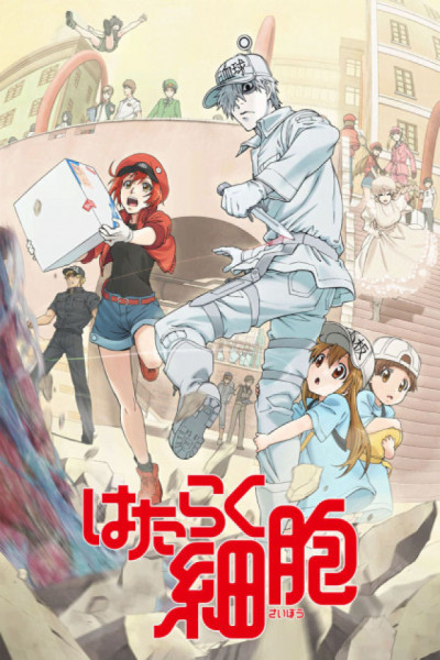 Hataraku Saibou + Ova Castellano